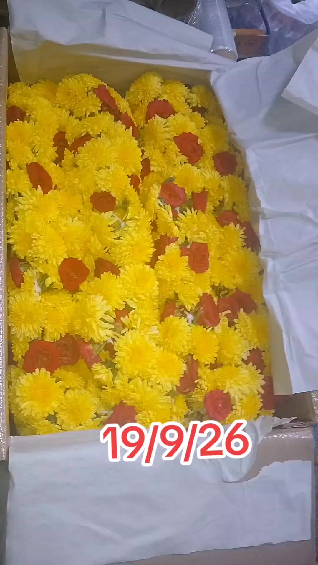 @ఓబులమ్మ బకాల గత 11 ఈసార 161