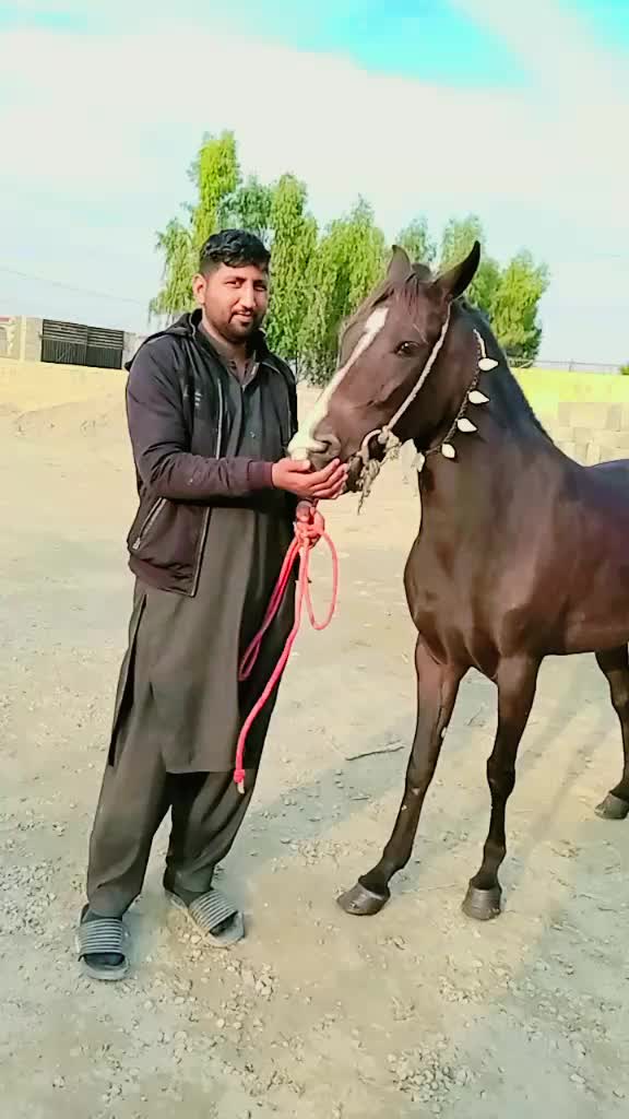 @Ahsan khan 123