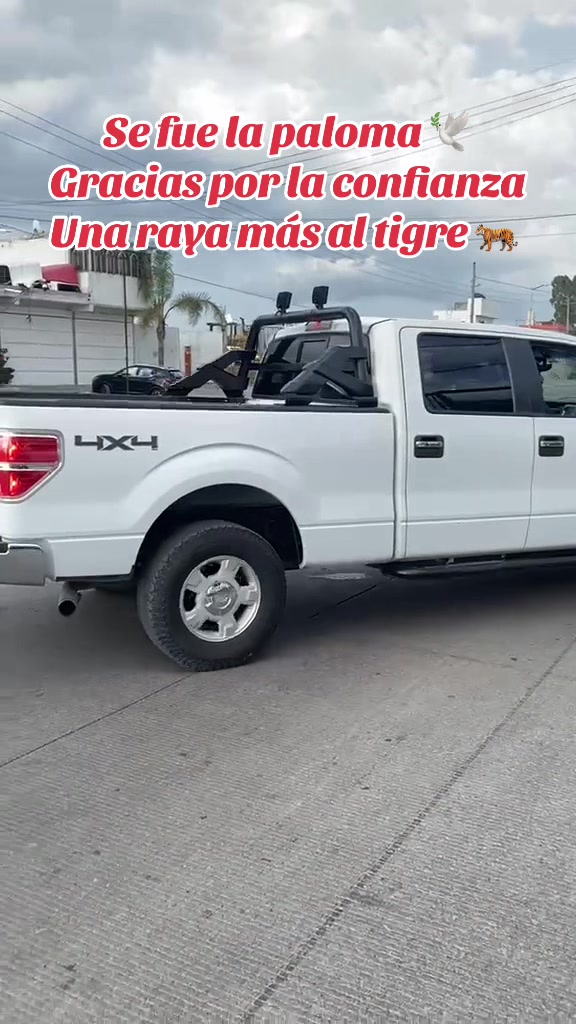 @bahf autos !
