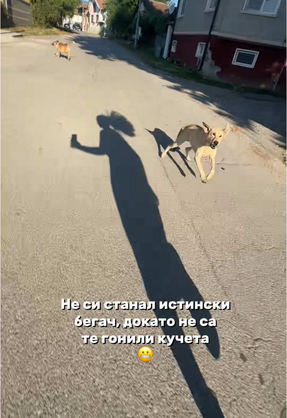 @mihaela.babacheva