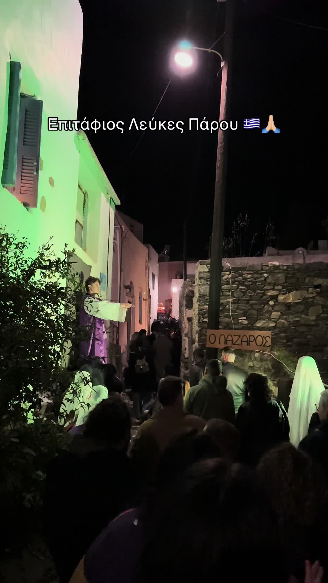 @Vasiliki Lignou