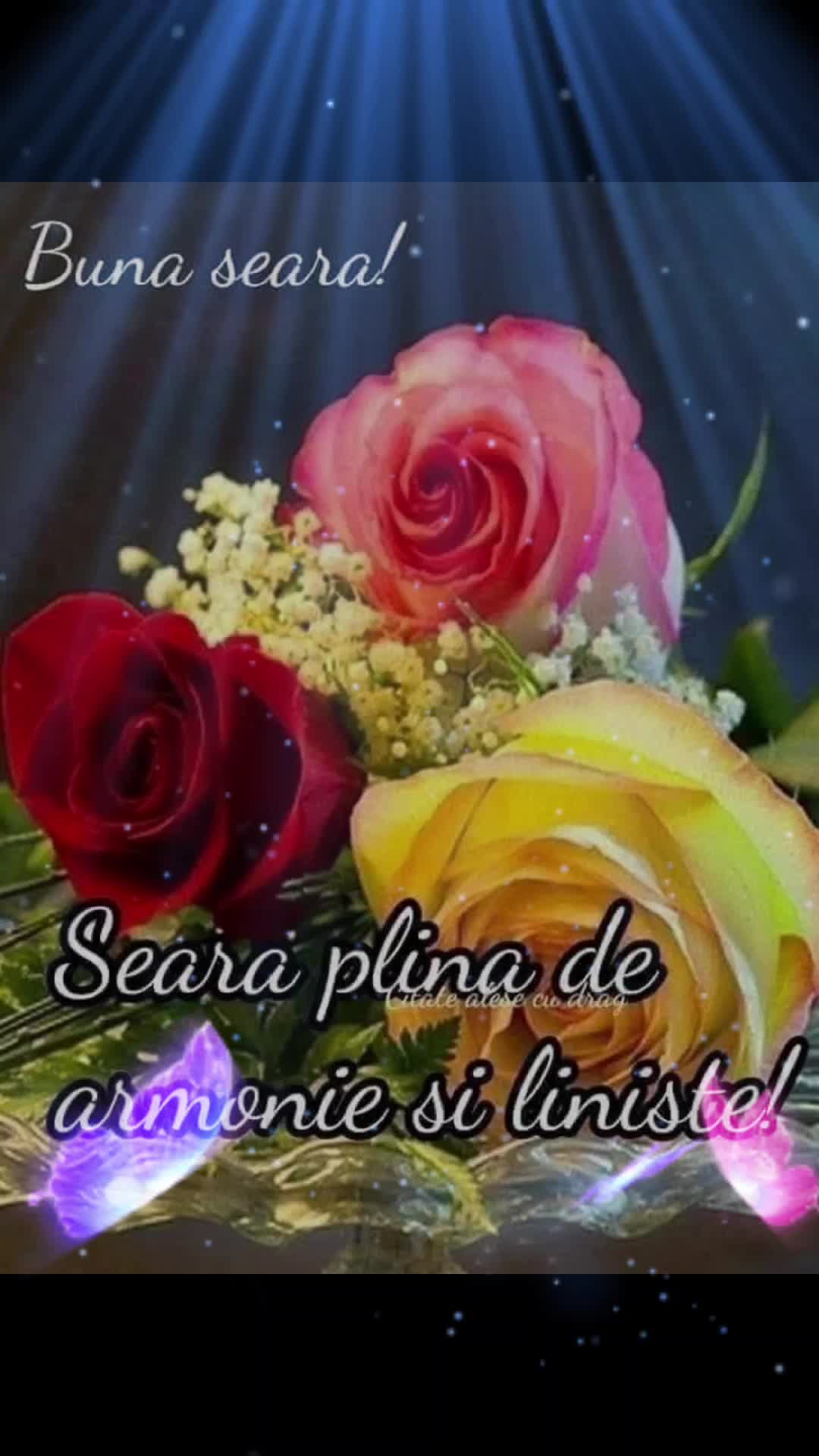 @Nicolae Iamandi Marin