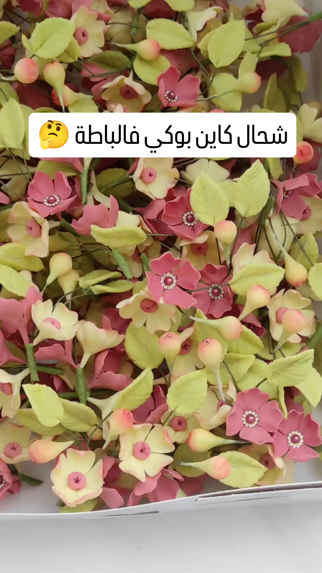 @hanocook