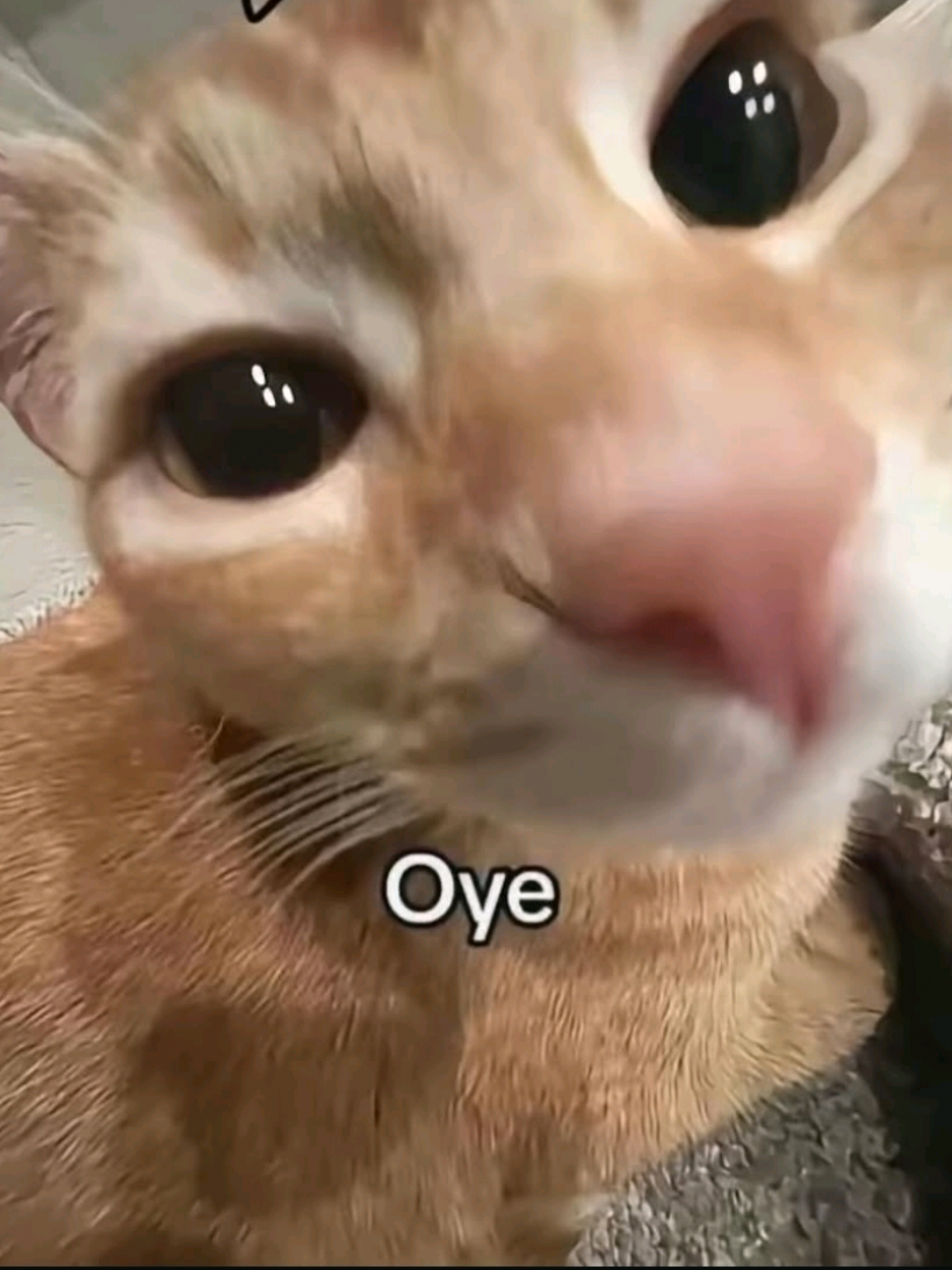 @Oliver 3