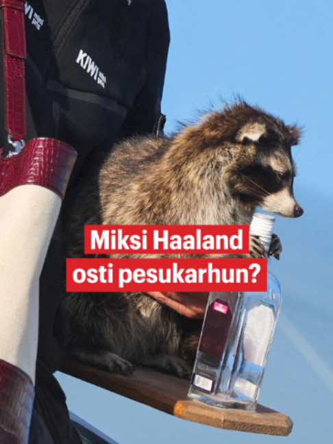 @Ilta-Sanomat