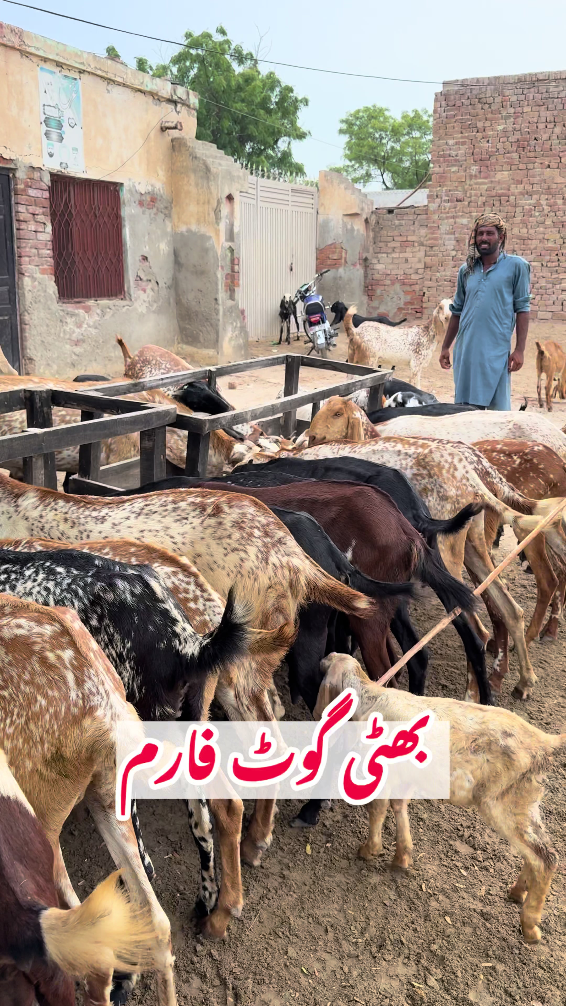 @vet.dr.mohsin4800