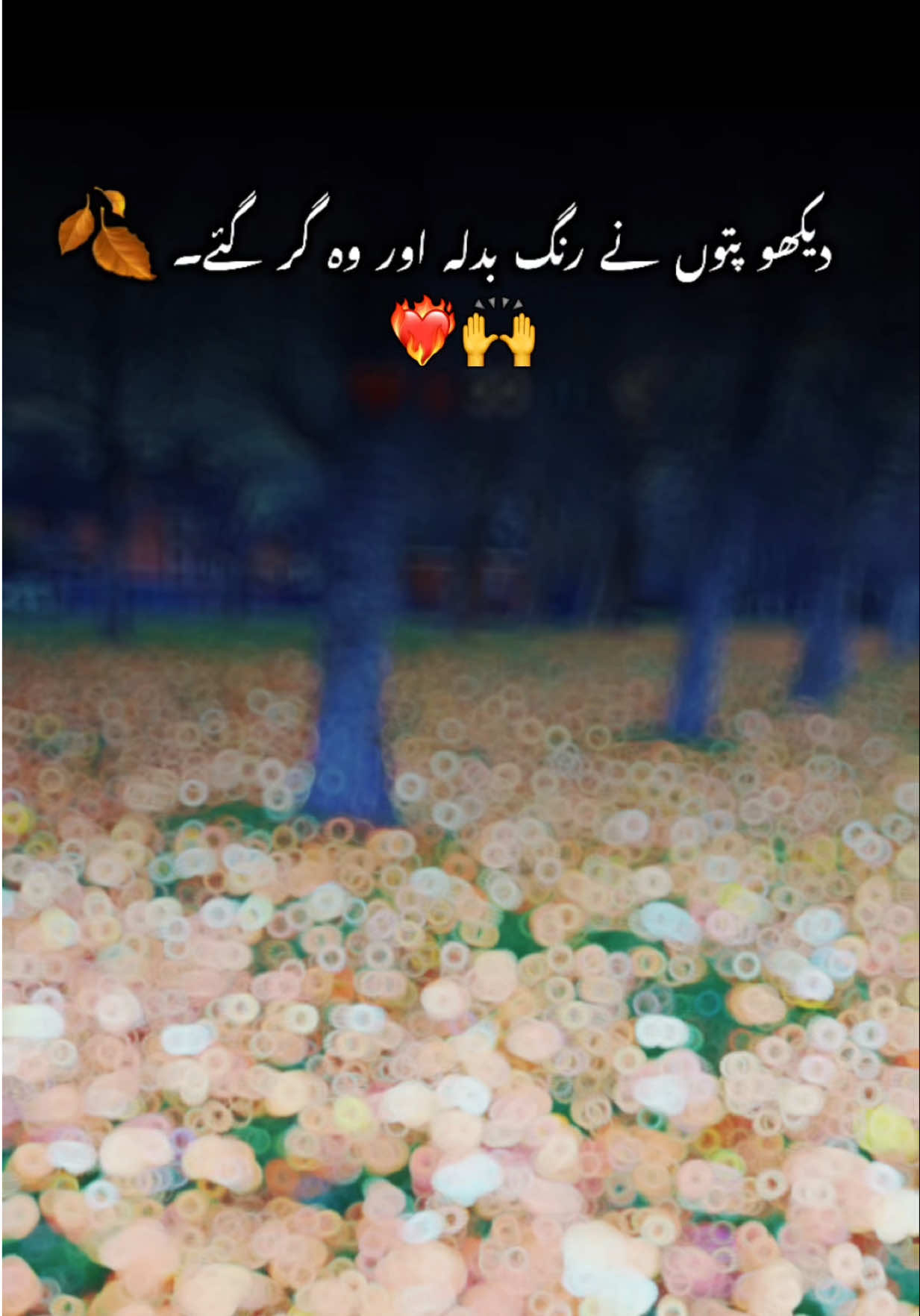 @Noor