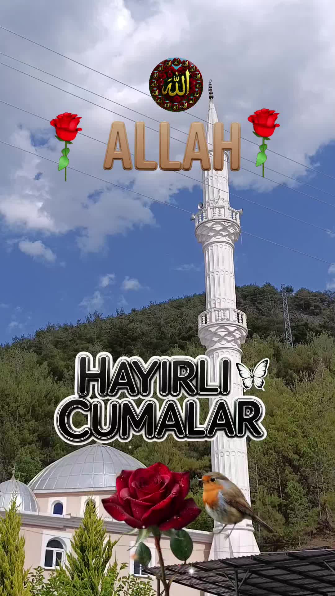 @@hayatsevinceguzel5537