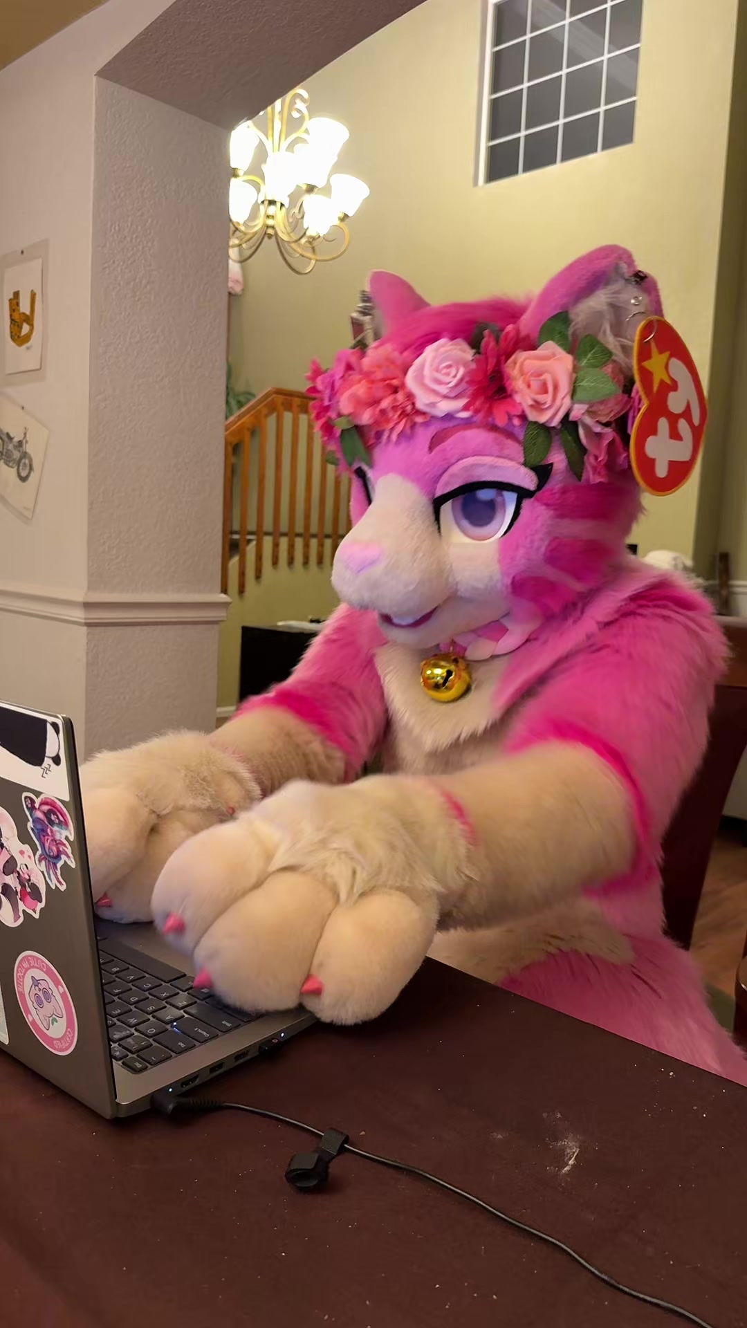 @AGayPinkCat