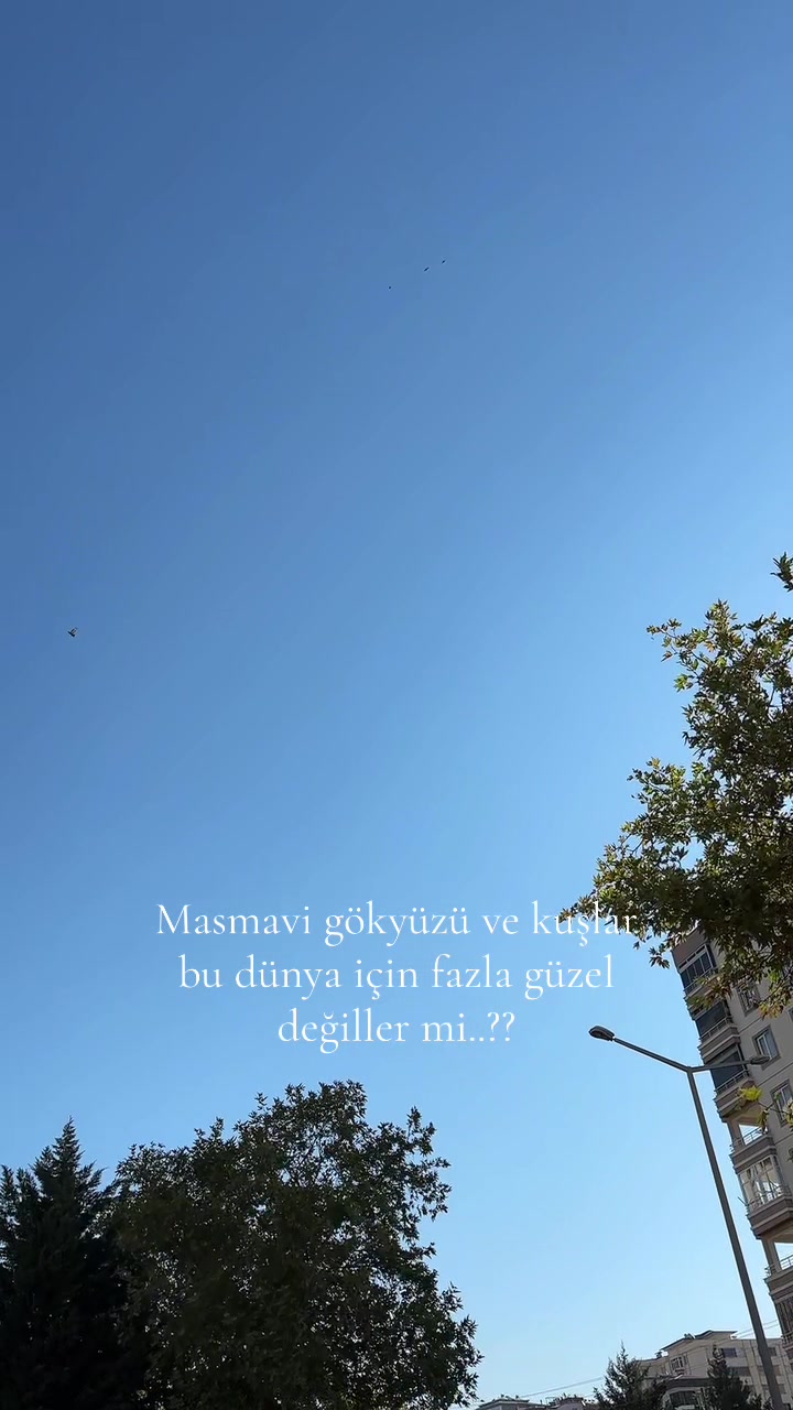 @Kubraa