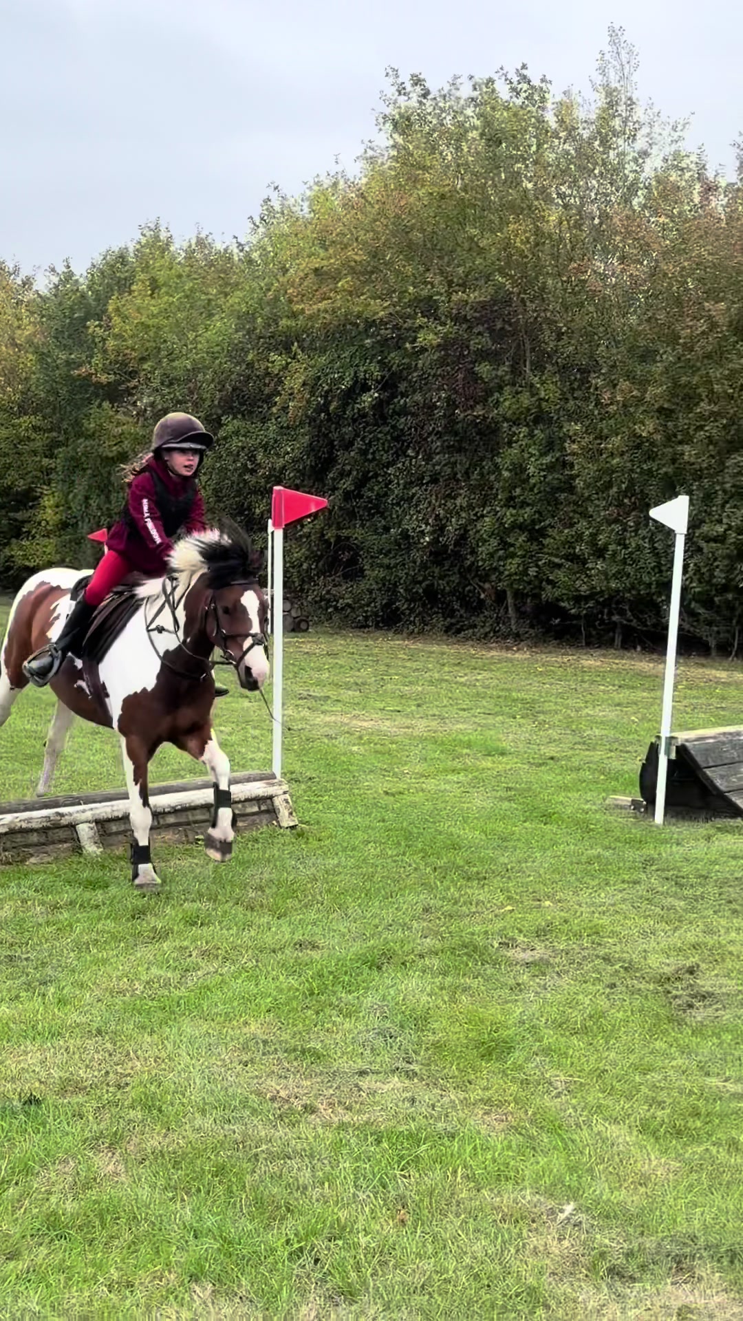 @Nina’s Pony Adventures ❤️