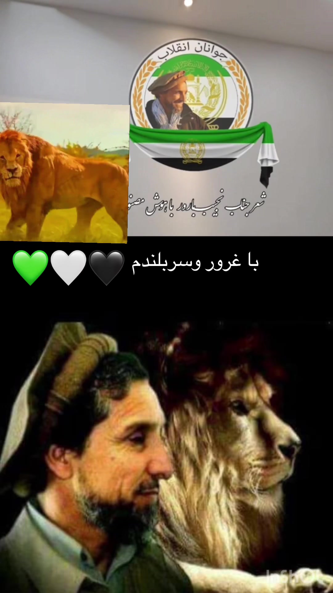 @Ehsanullah