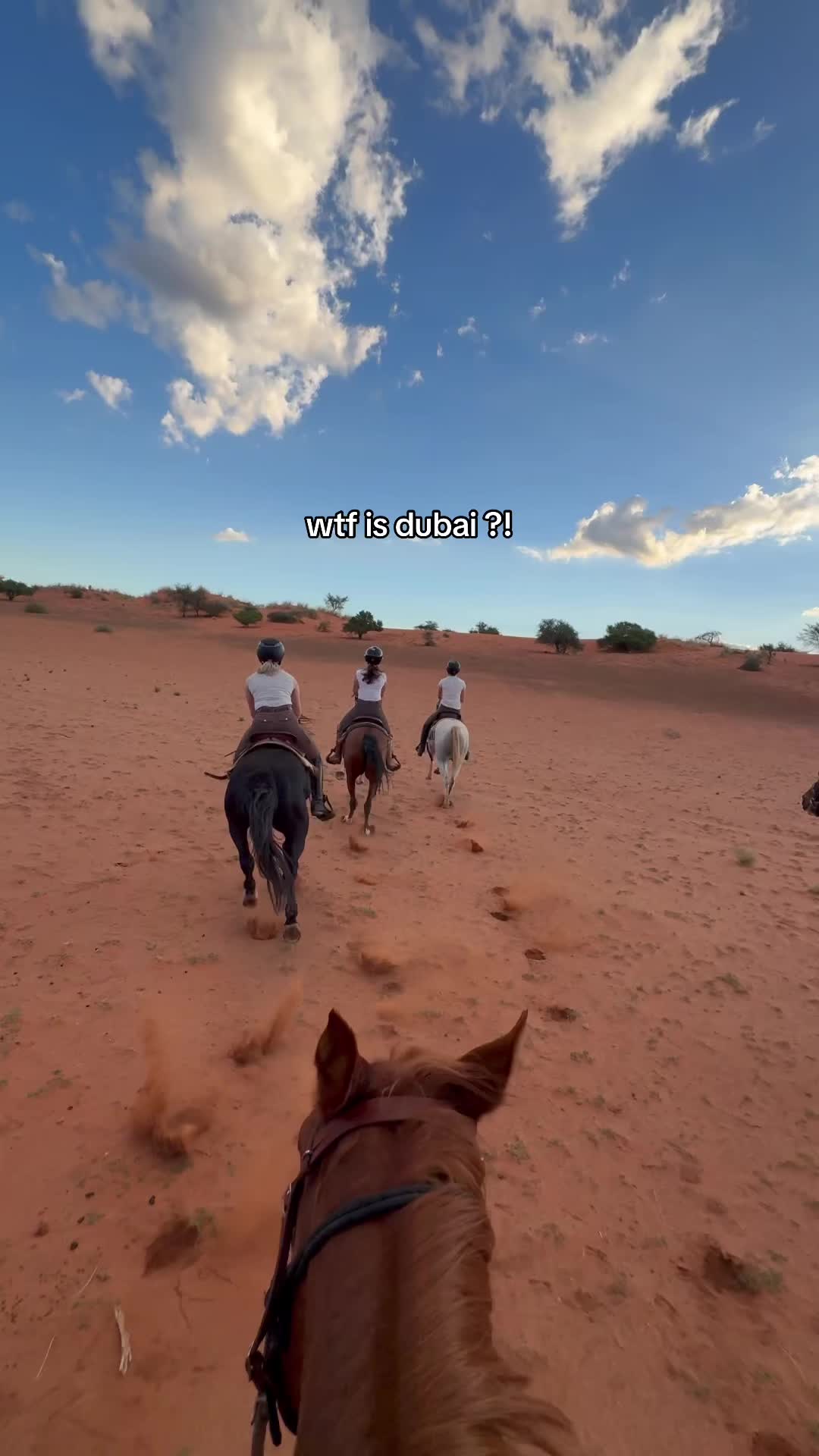 @Hoof & Travel 🐴🌍🐘