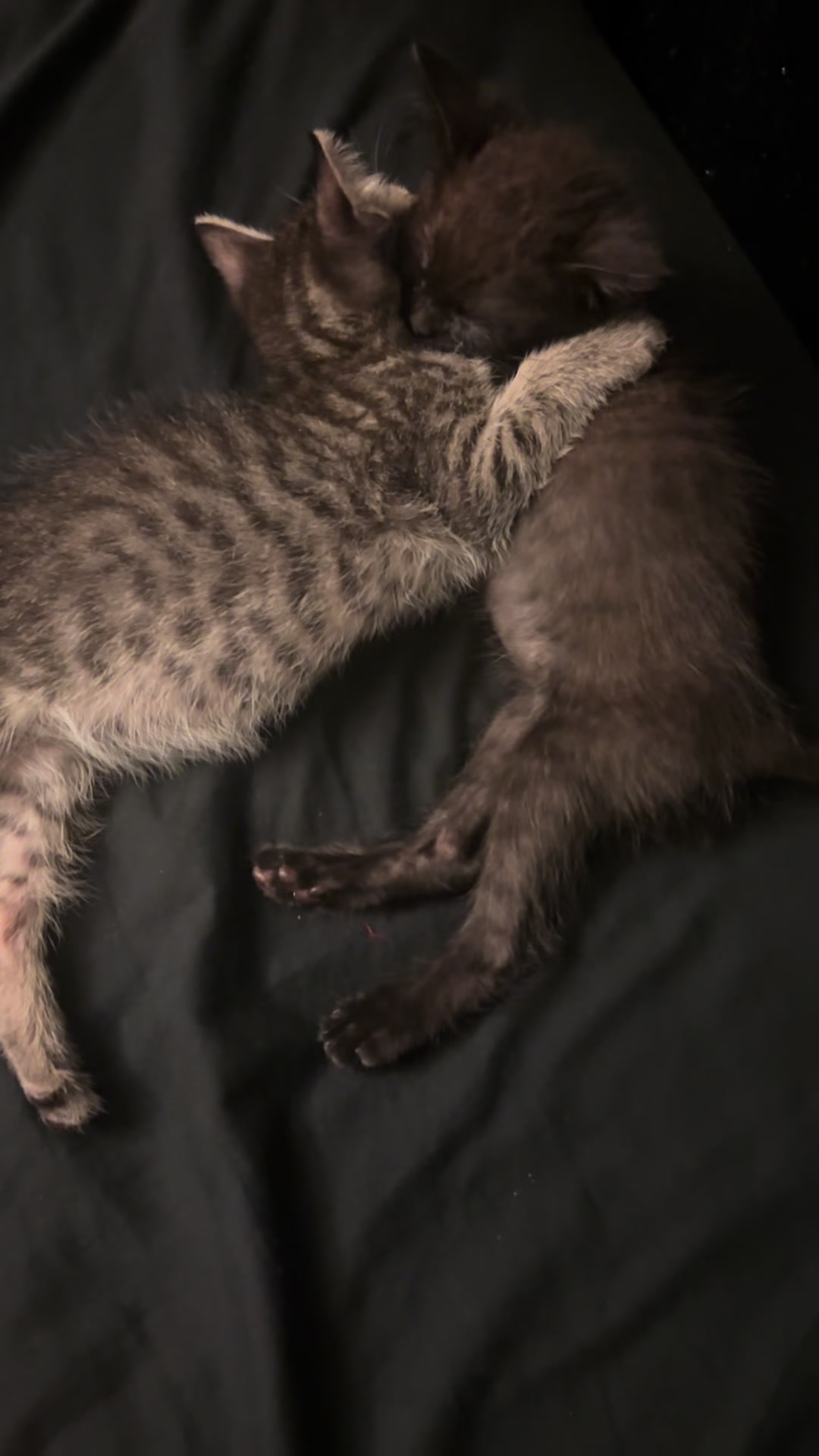@faye