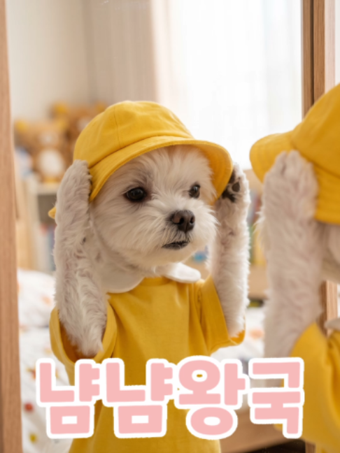 @냠냠왕국