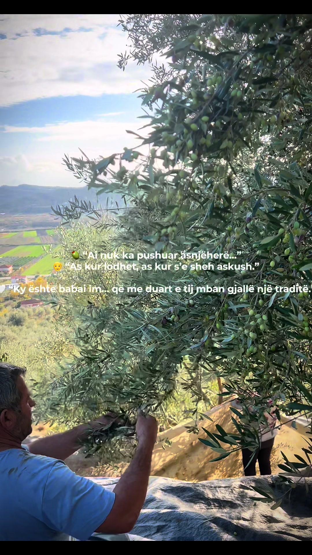 @🌿𝒟𝓇𝓊𝓇𝒾 𝒾 𝒿𝑒𝓉𝑒𝓈🌿