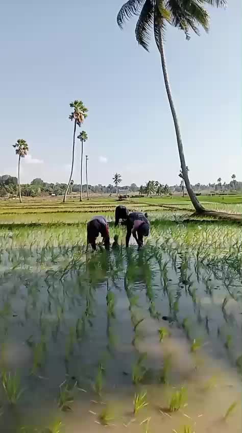 @Sudhy