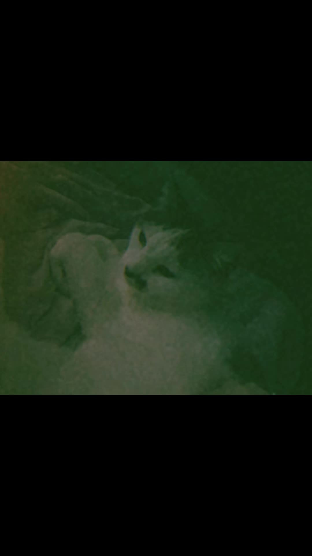 @❀✰Aubat :3✰❀