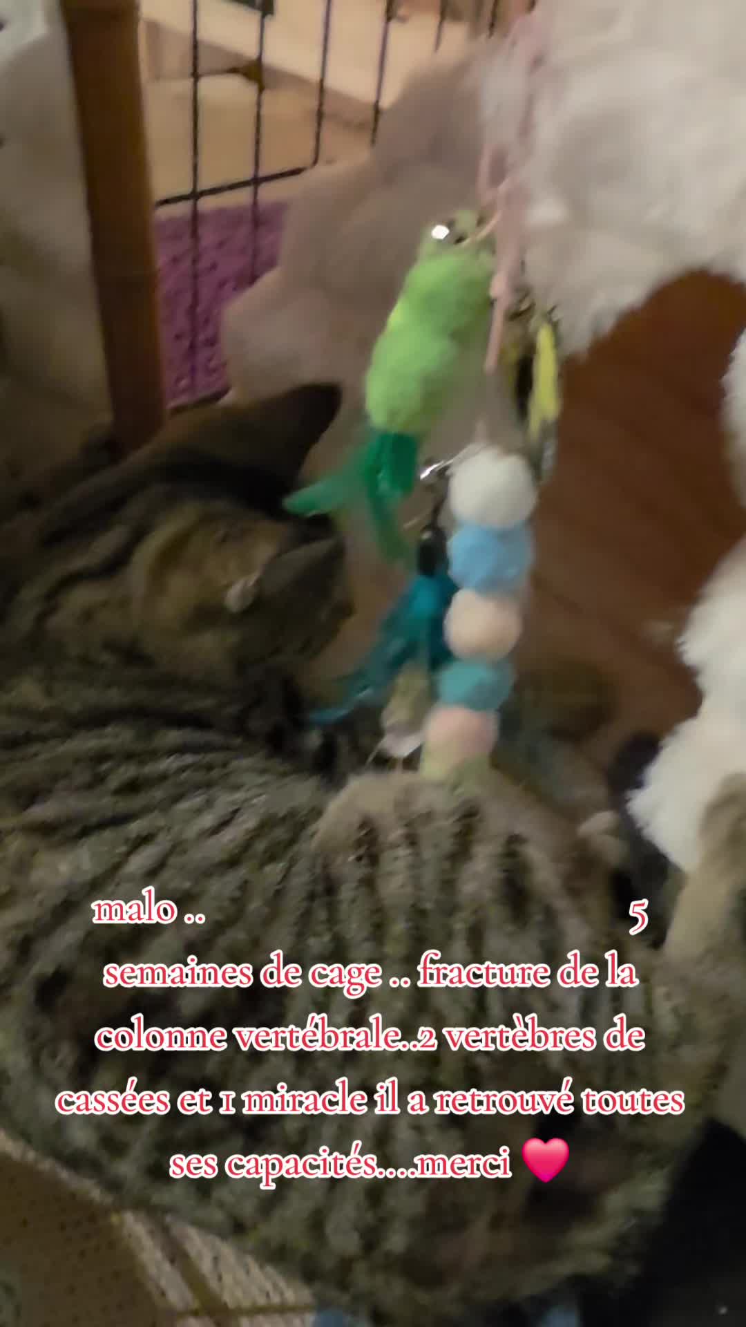 @chouchoulie21