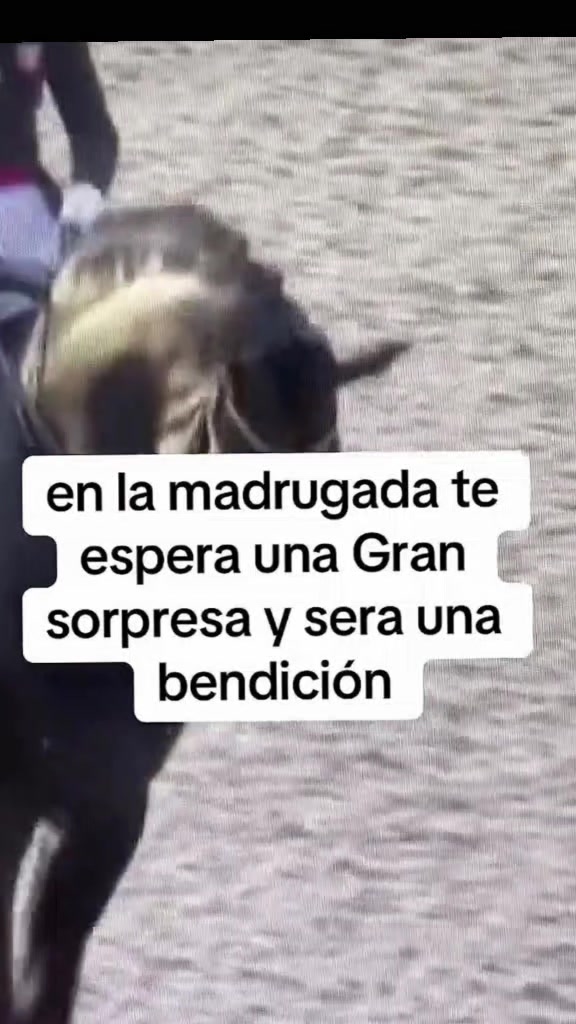 @Dr. Marcel