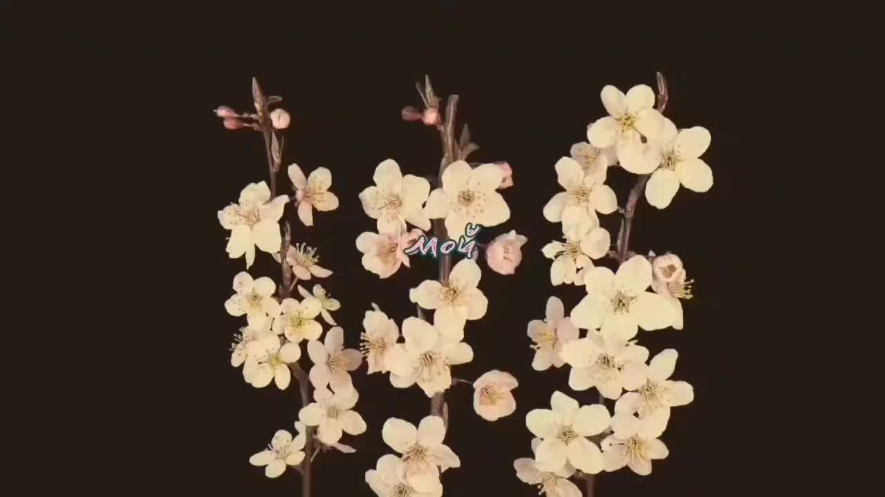@депоша