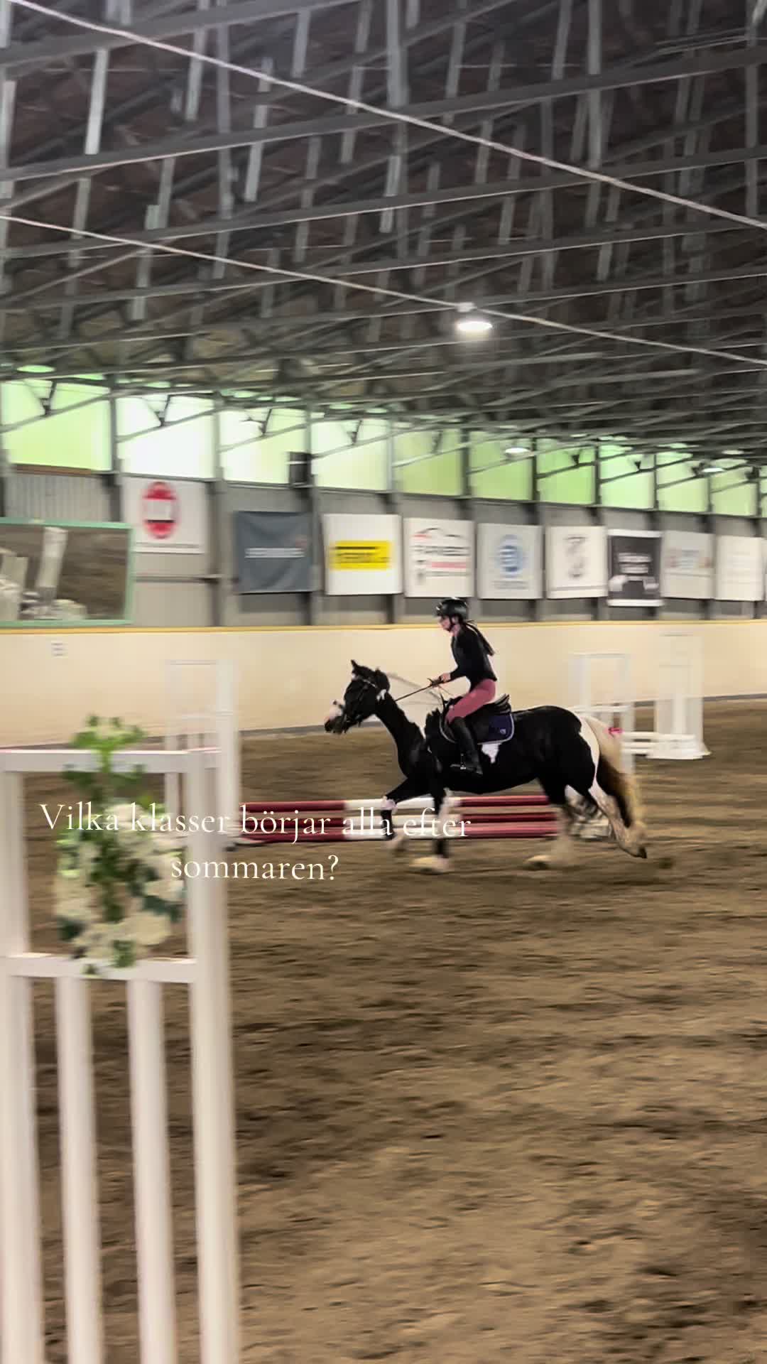 @🇸🇪𝓢𝓿𝓮𝓪 𝓞𝓵𝓼𝓼𝓸𝓷🇸🇪