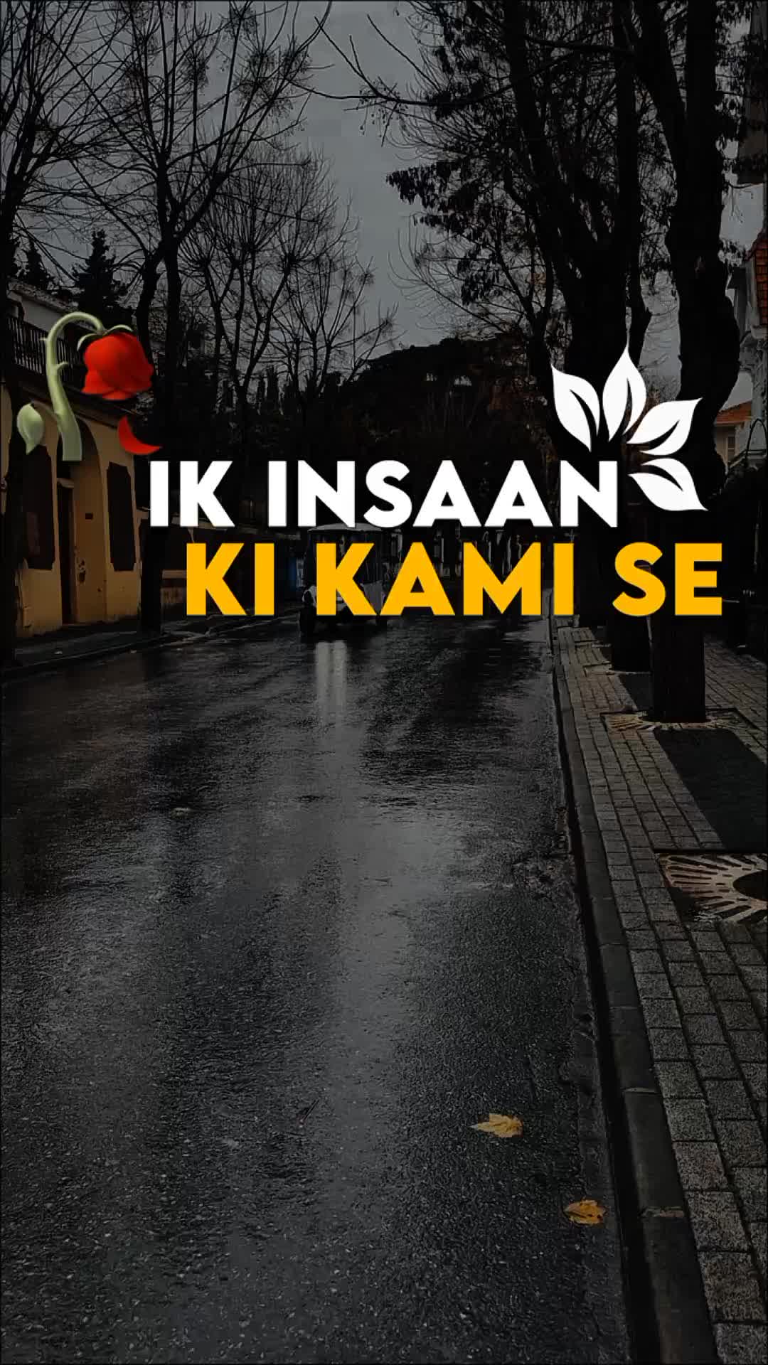 @🍂سرورِ عشق🫀