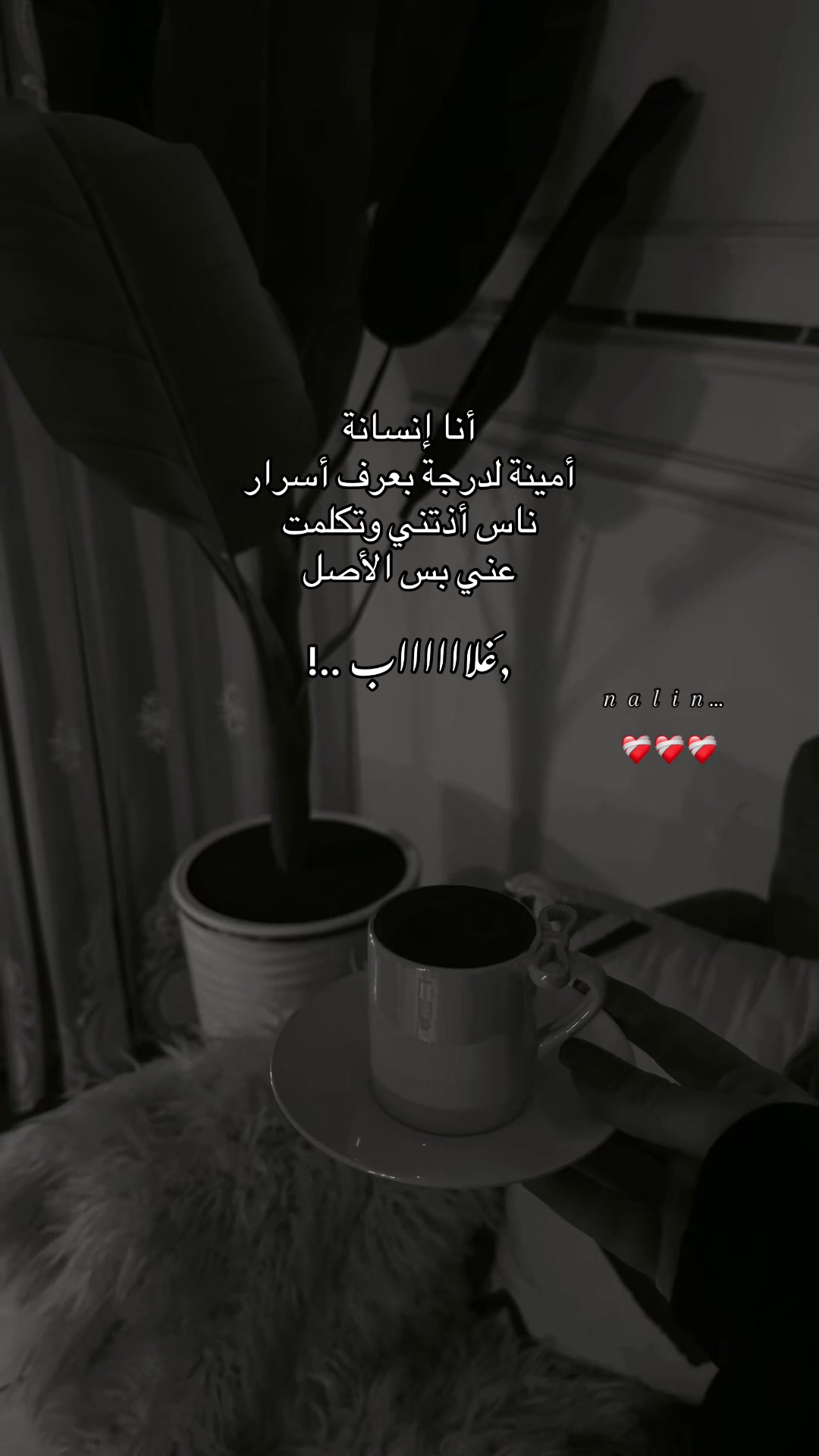 @𝑵𝒂𝒍𝒊𝒏☕️📸