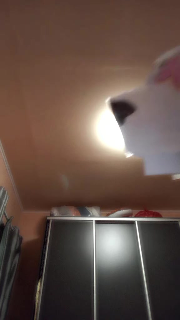 @🌸💮.𝕊𝕒𝕜𝕦𝕣𝕒.💮🌸