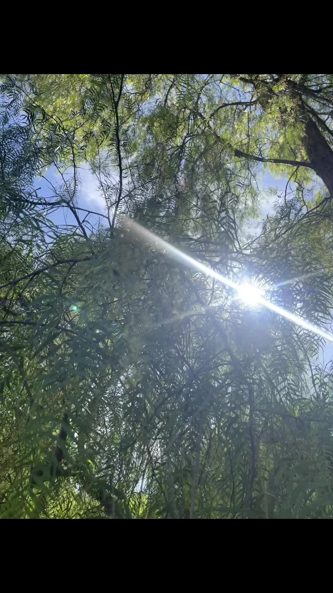 @🐉MA👁️🌹RA☀️717🪽