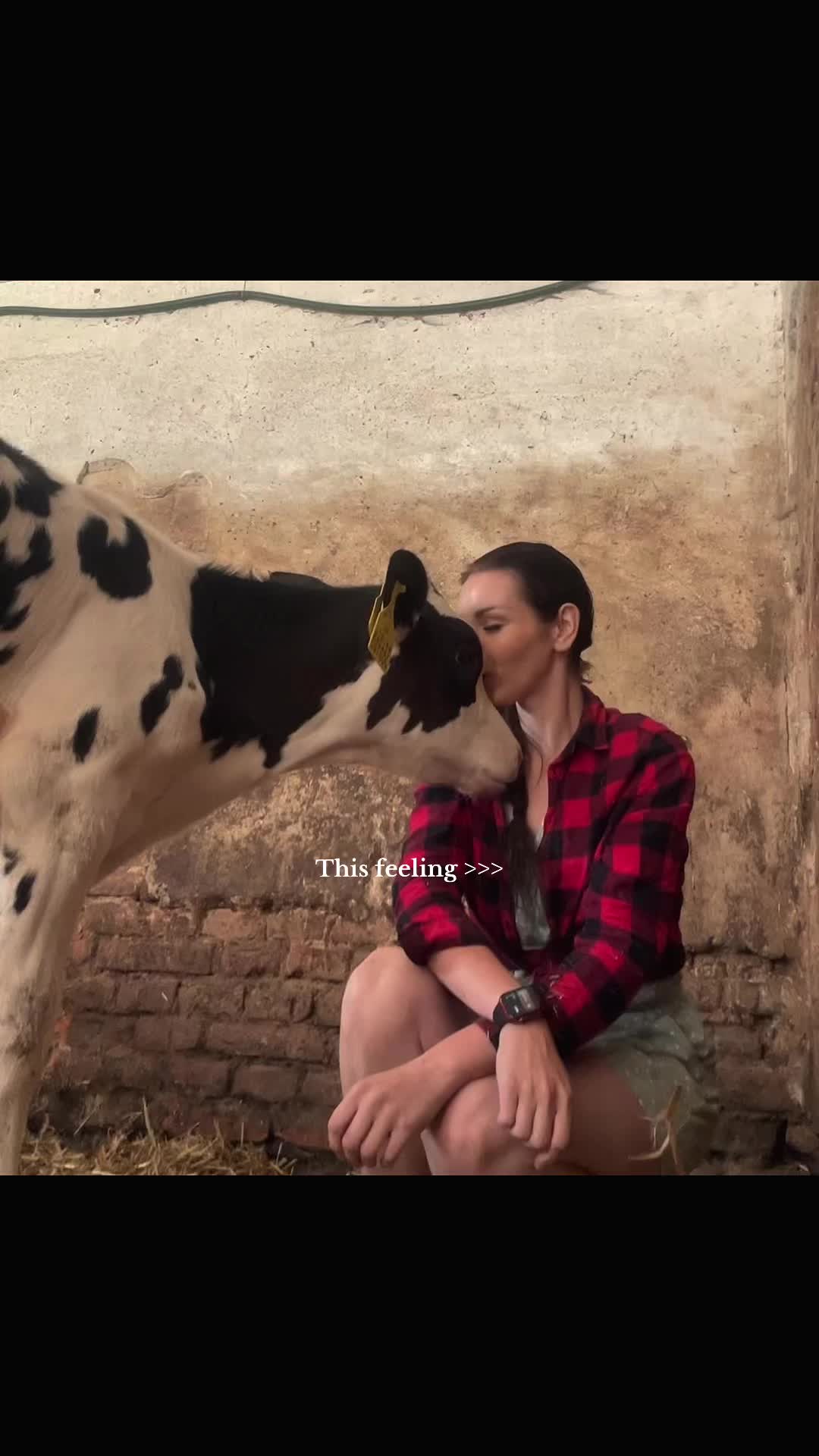 @Dess_Tiny7