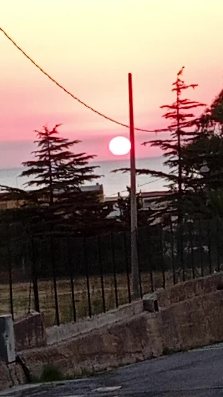@Enza Panebianco