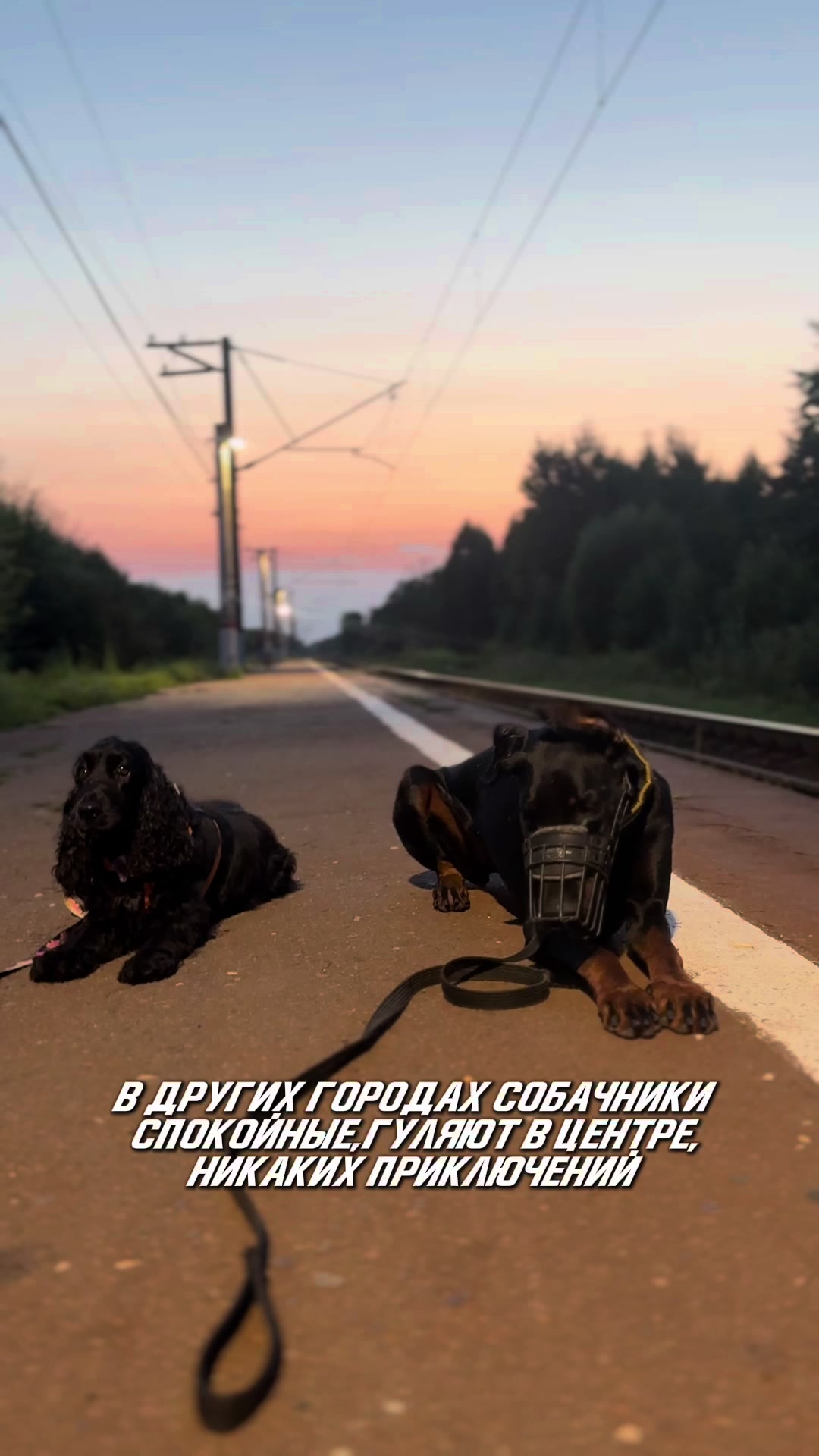 @‼️тг: grandorf‼️