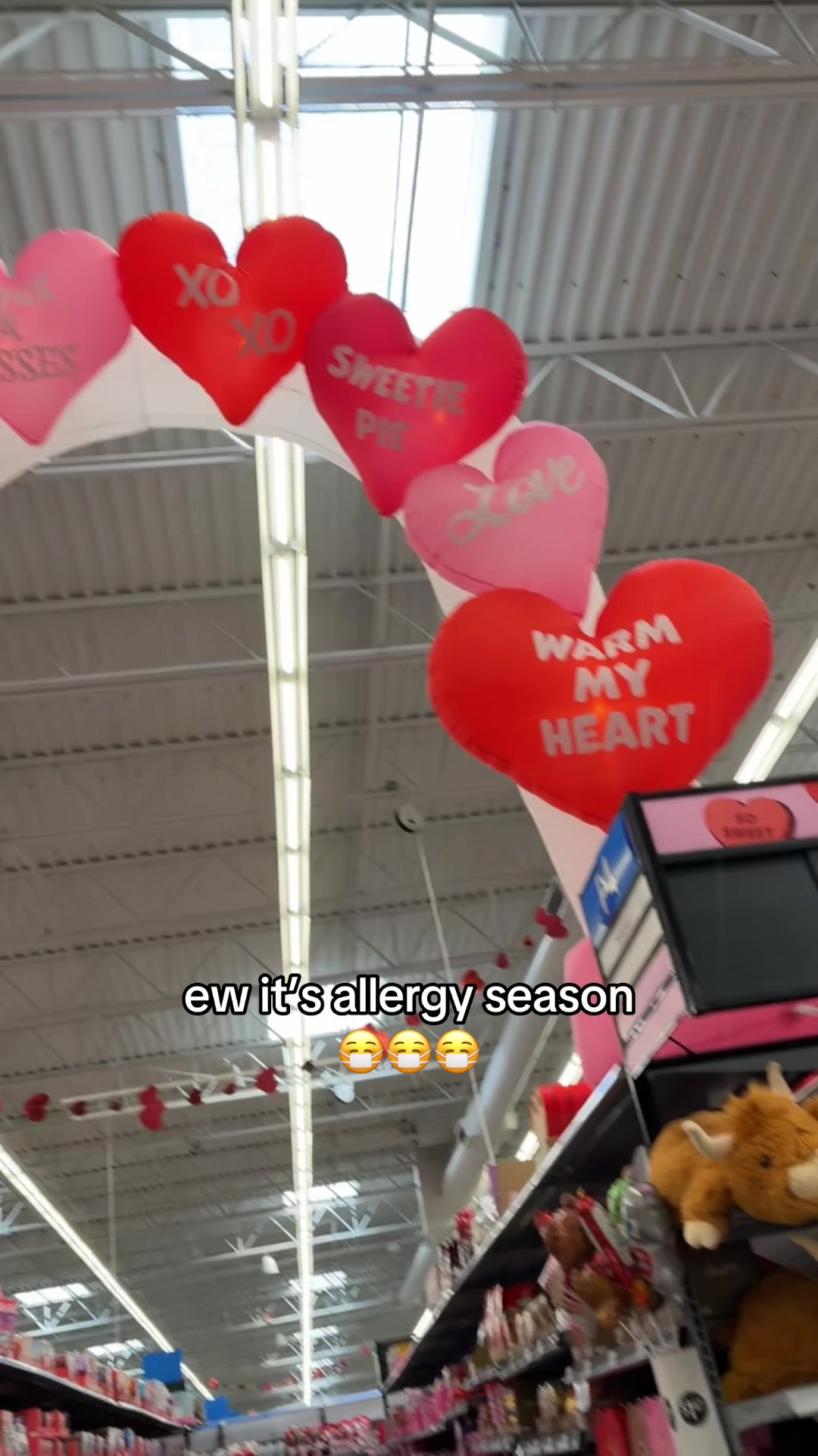 @lizabeth