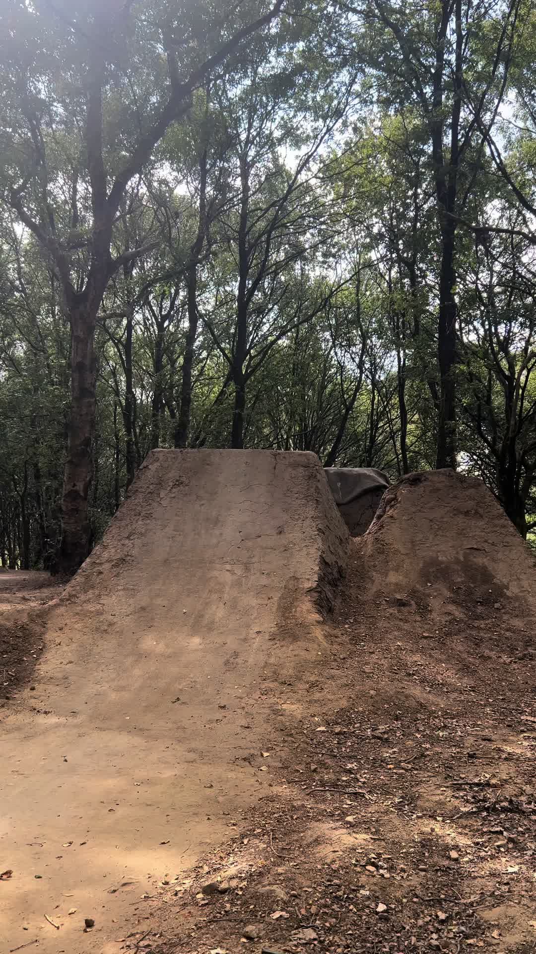 @AUSTIN_831🤠🇬🇧🏴