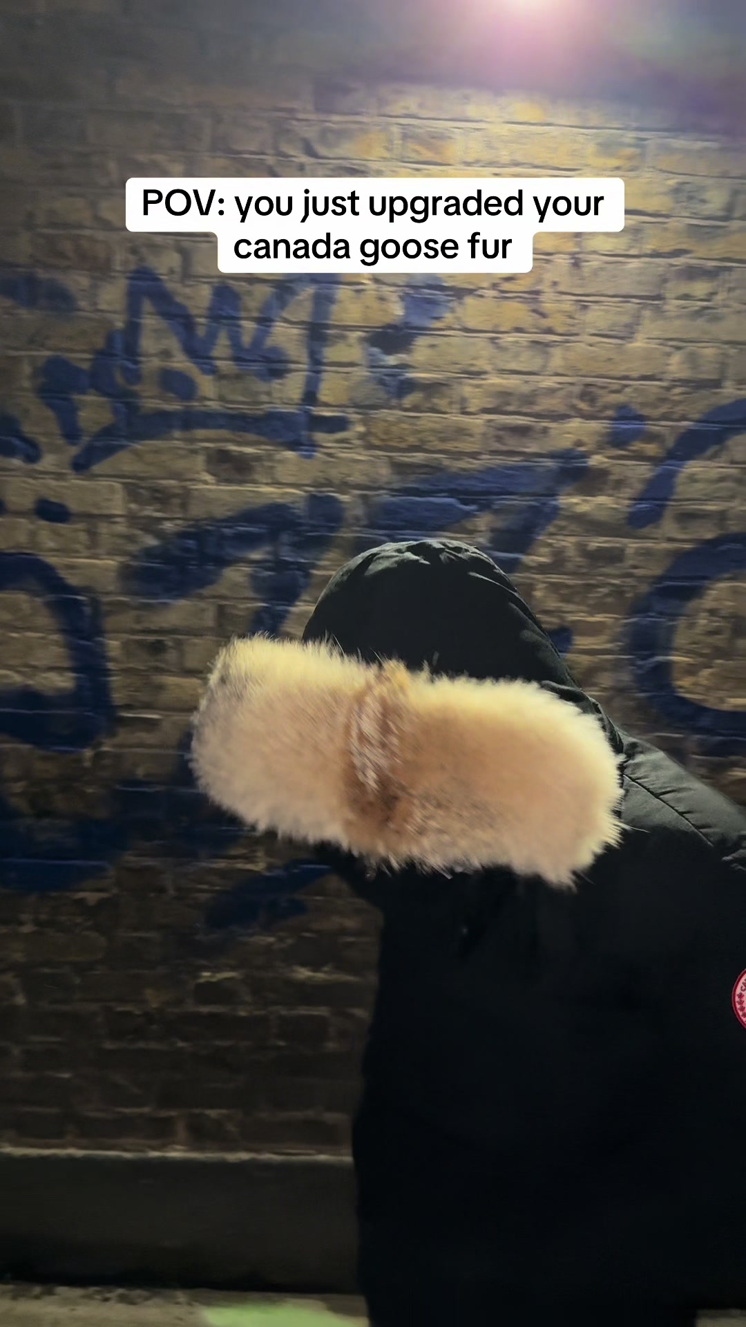 @POLAR OPTIC FUR