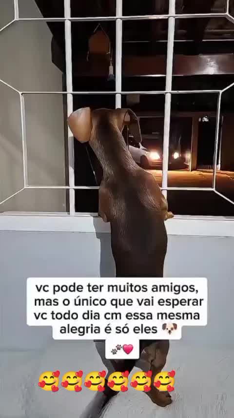 @Marcos Sarinho