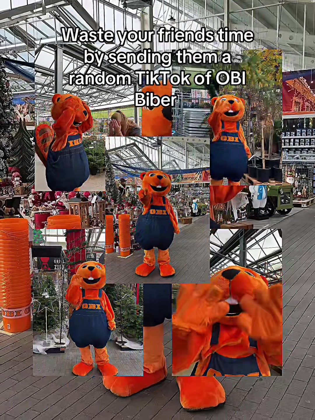 @OBI Singen