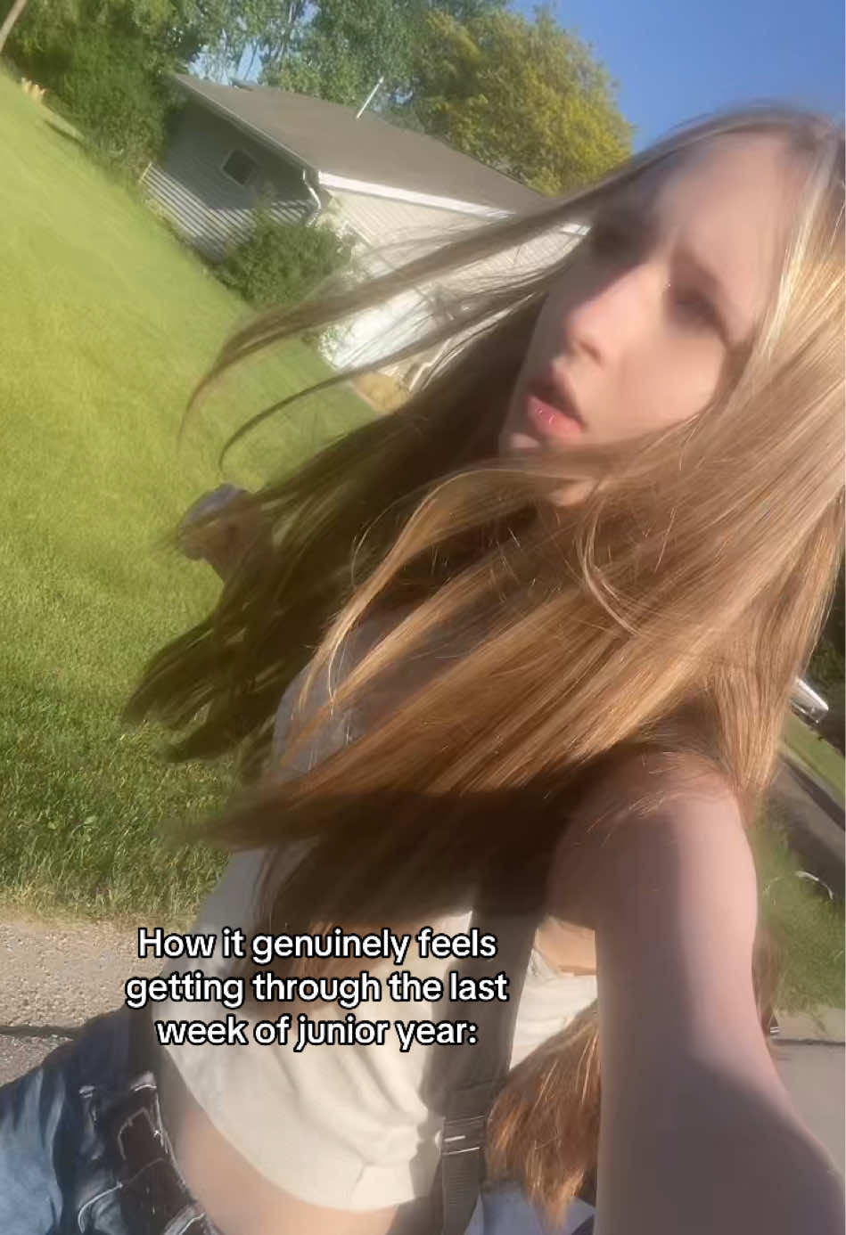 @lily 🦦