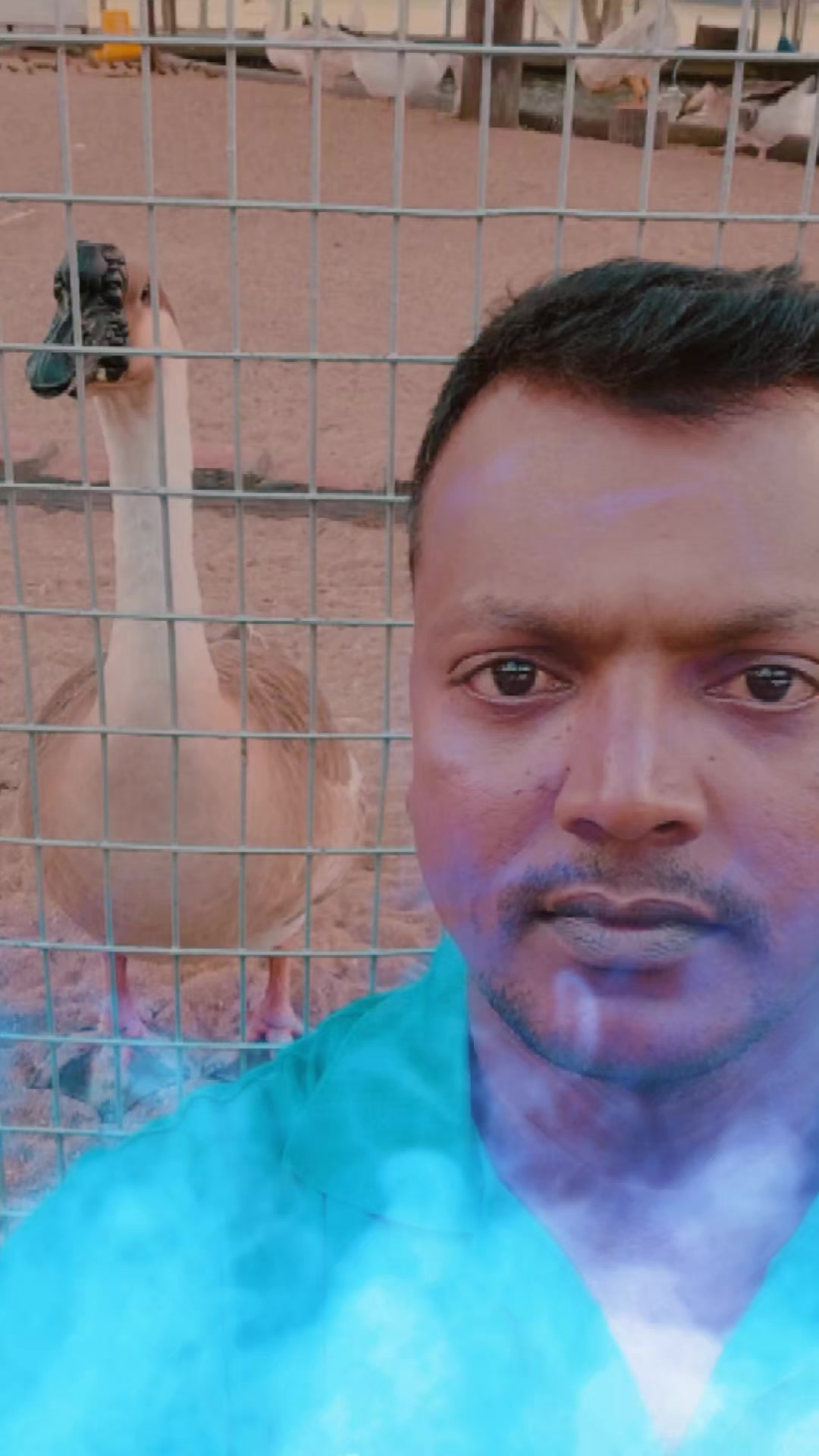 @pulithevan@4738