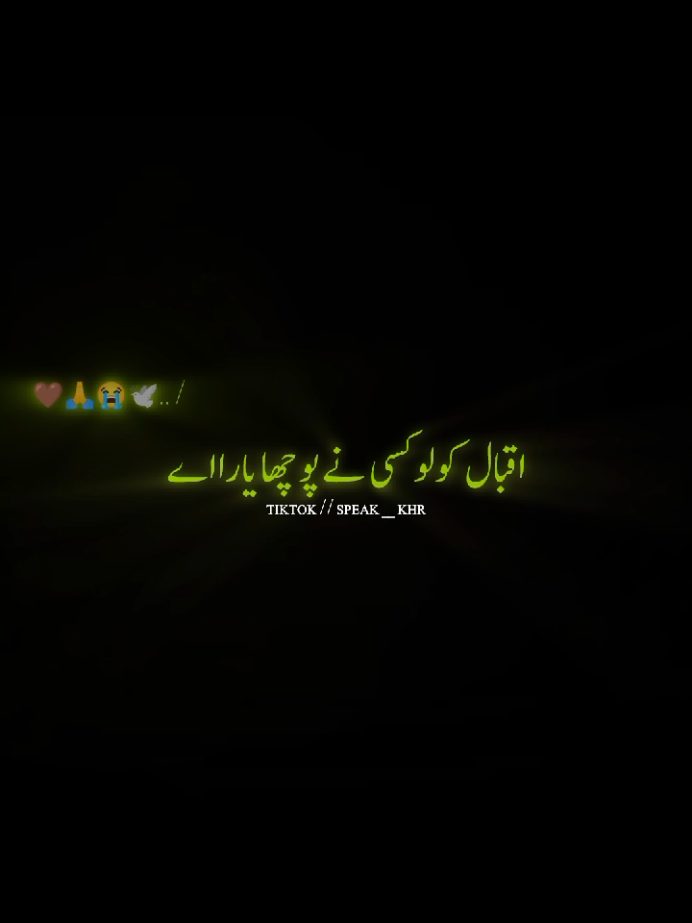 @★彡خادم دا خادم彡★