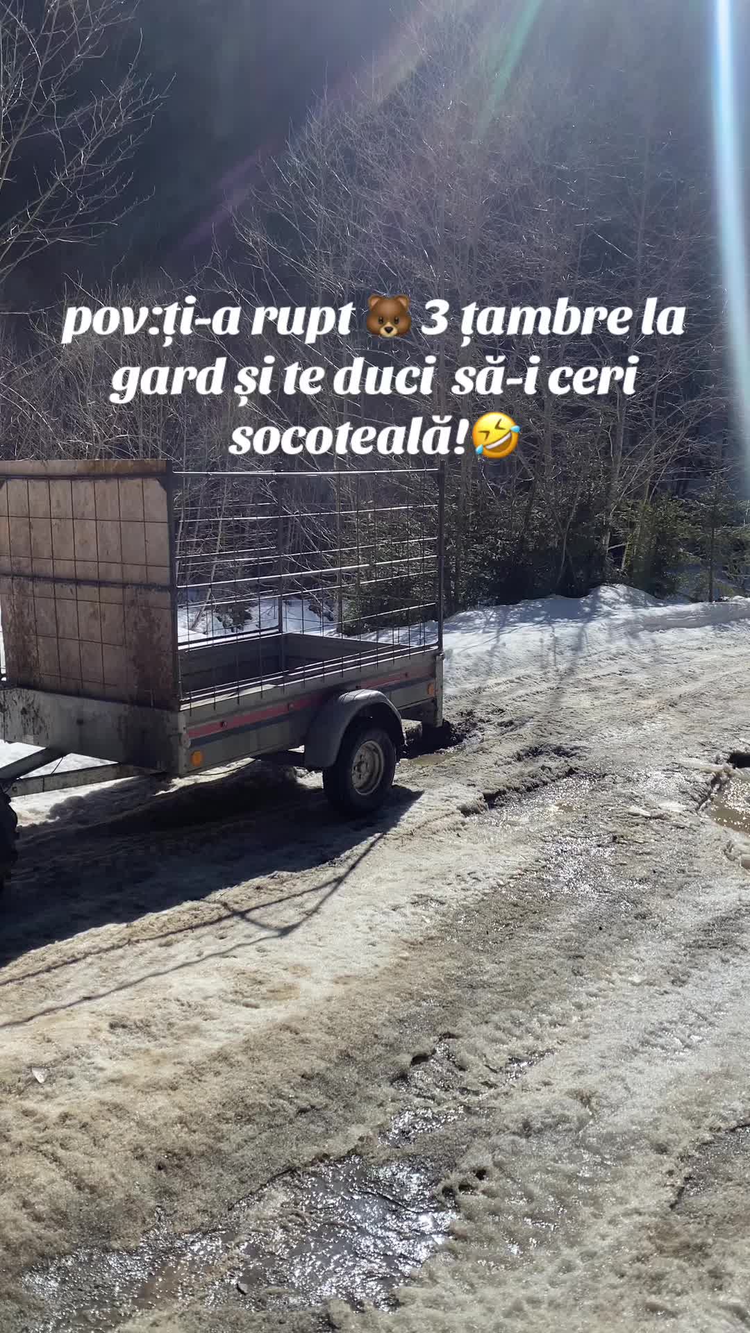 @Moldoveanu Alexandru