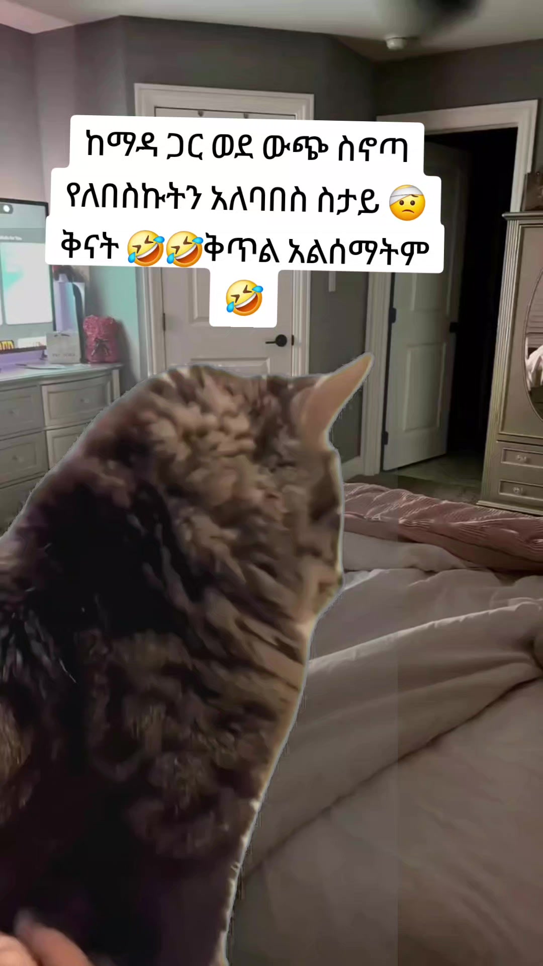 @➾My ⏮🦋love ➣⏮mama ➺🔥