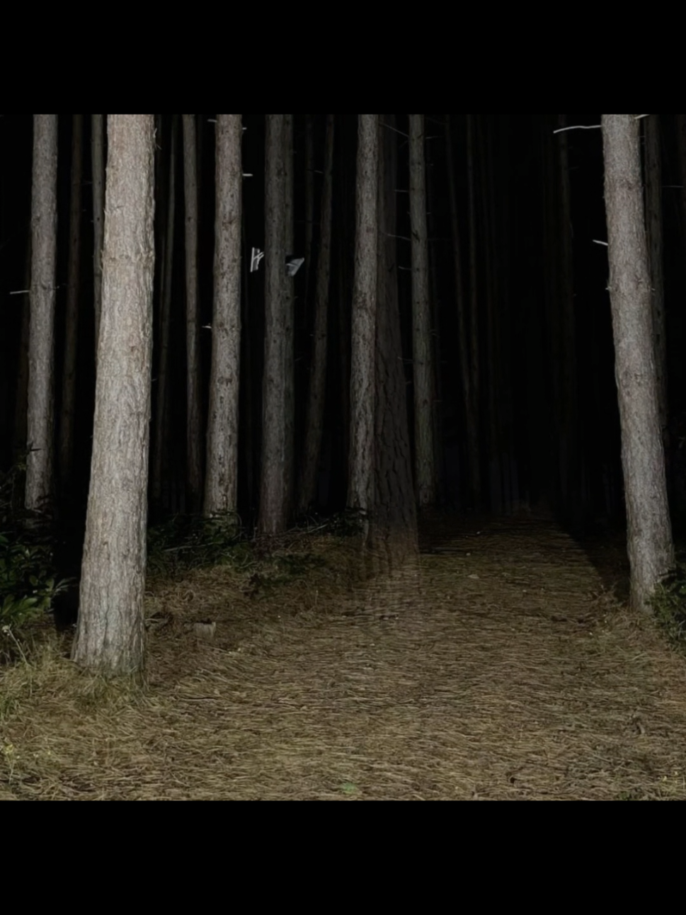 @Creepy