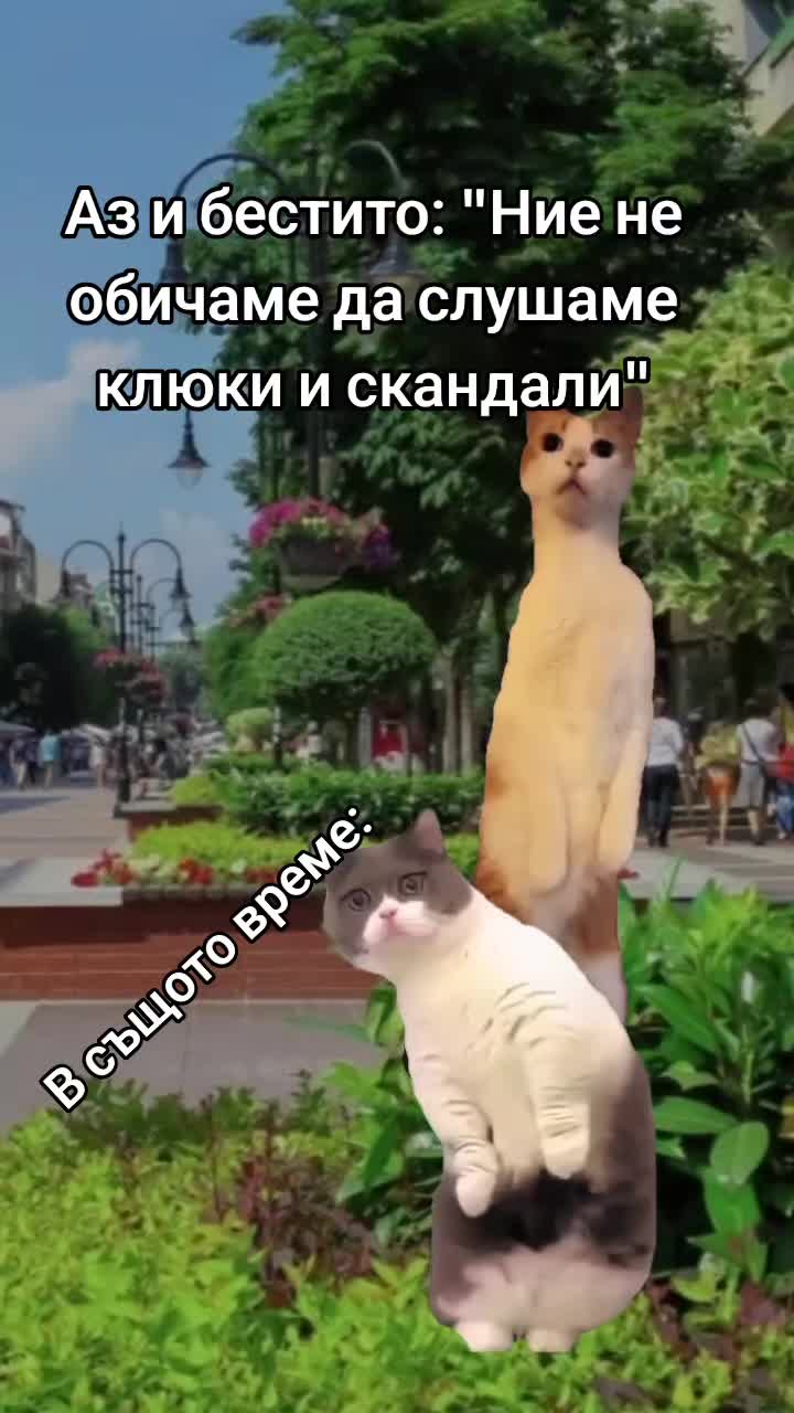 @Denichka