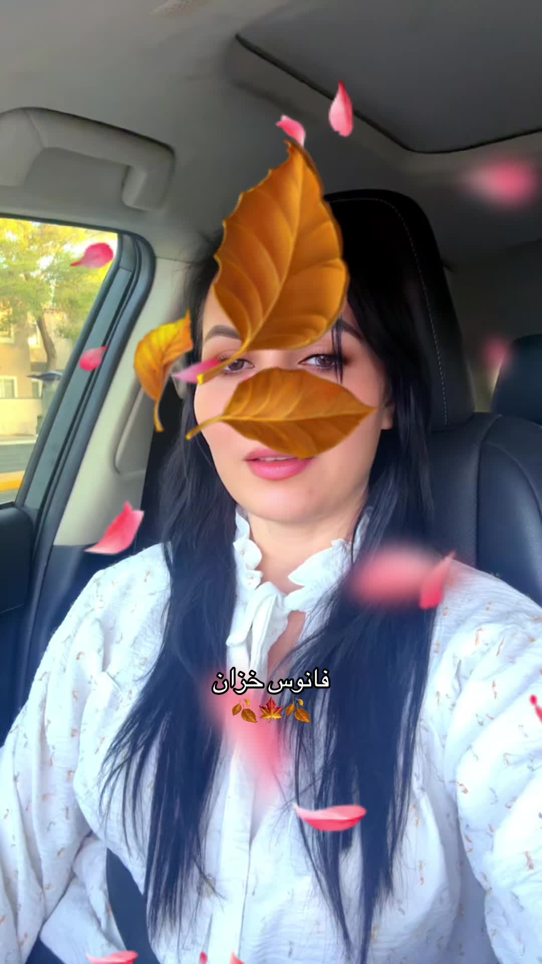 @❣️فانوس🍁خزان❣️