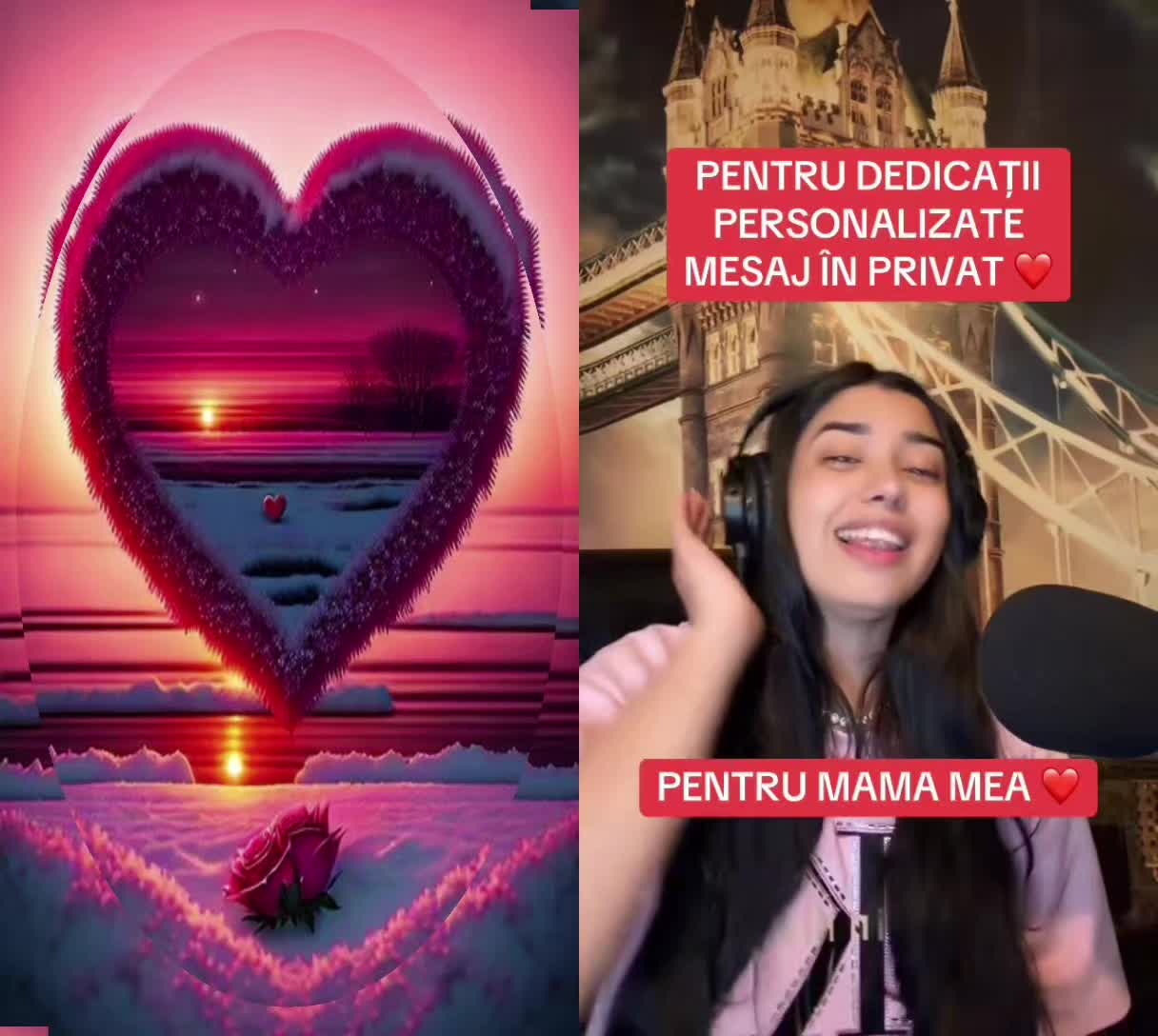 @Tudorel Nanu