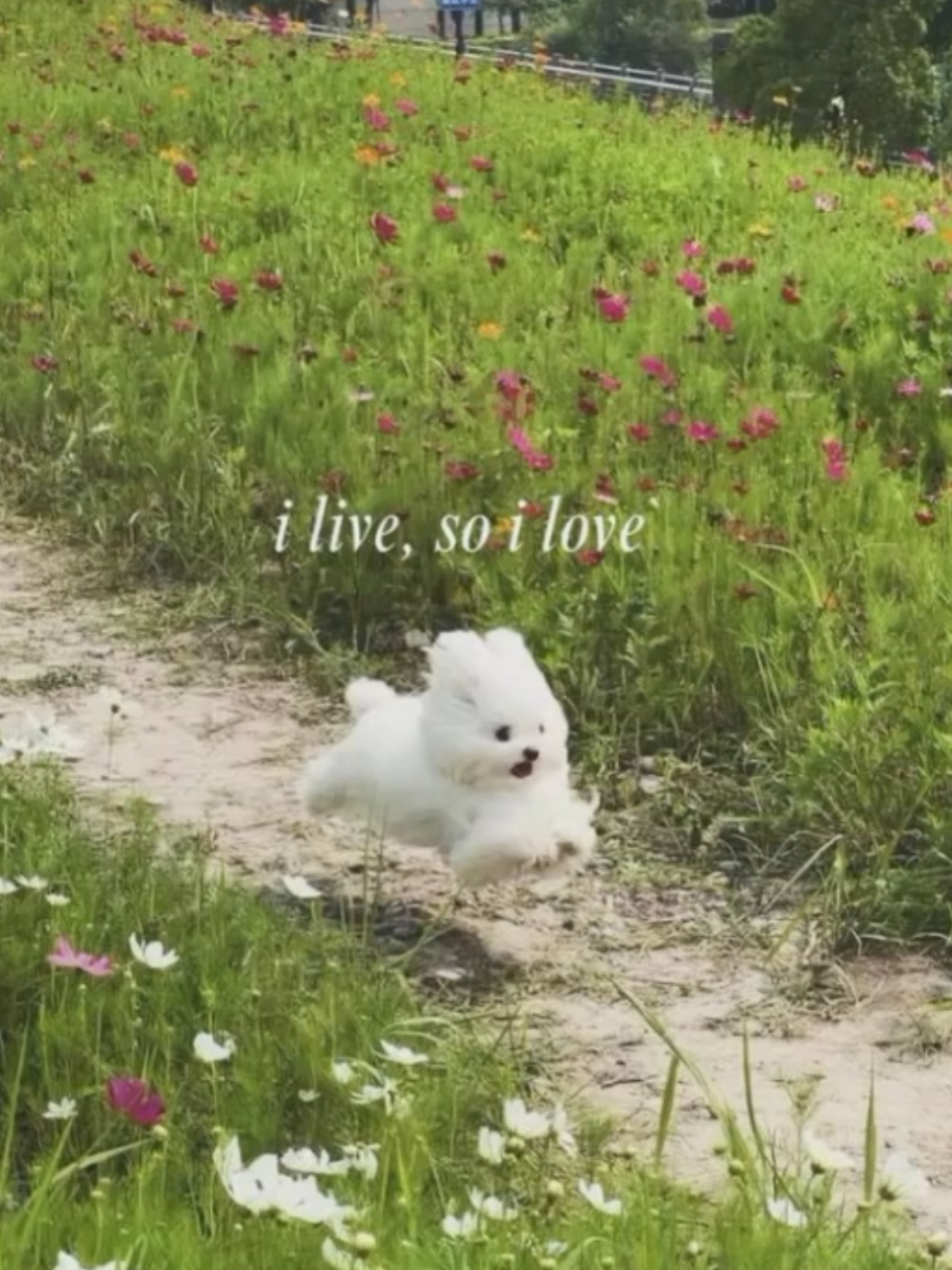 @:D