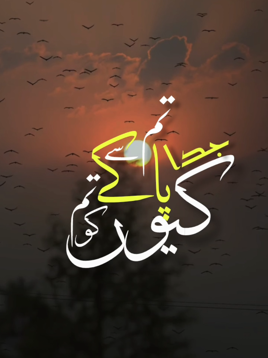 @🌸🇾 🇴 🇺 🇷 ᴋᴀɪɴᴀᴛ 🌸