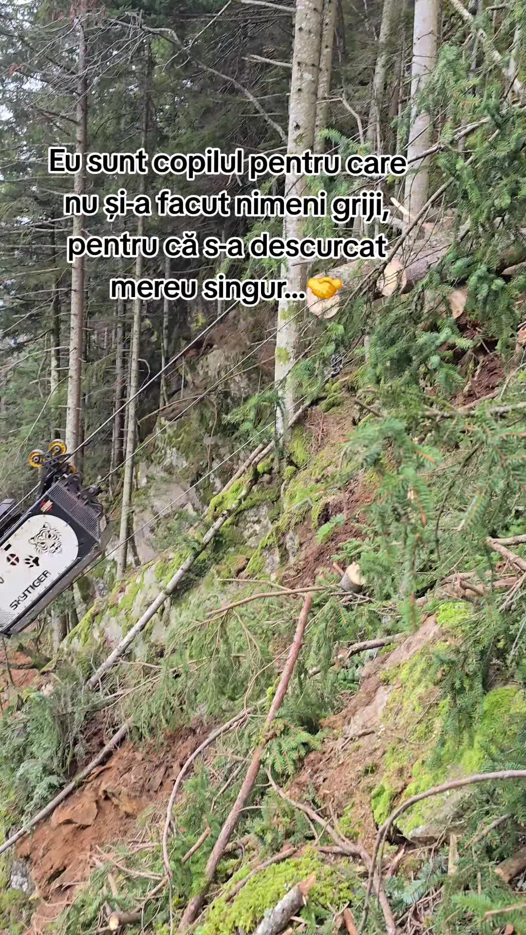 @Nicu Văsieș